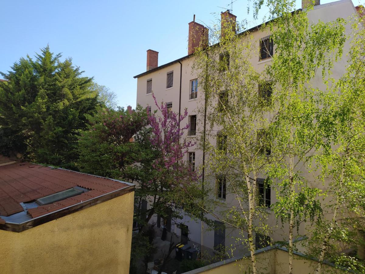 Berge Du Rhone, Centre Lyon, Espace De Travail, Tout A Pied, Universite Lyon 2 Et Lyon 3, Ideal Voyage D'Affaires, Tourisme, Loisirs エクステリア 写真